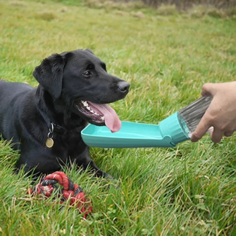 Portable Dog Water Bottle Dispenser for Small Large Dogs Foldable Puppy Outdoor Hiking Drinking Bowl French  Pet Accessories