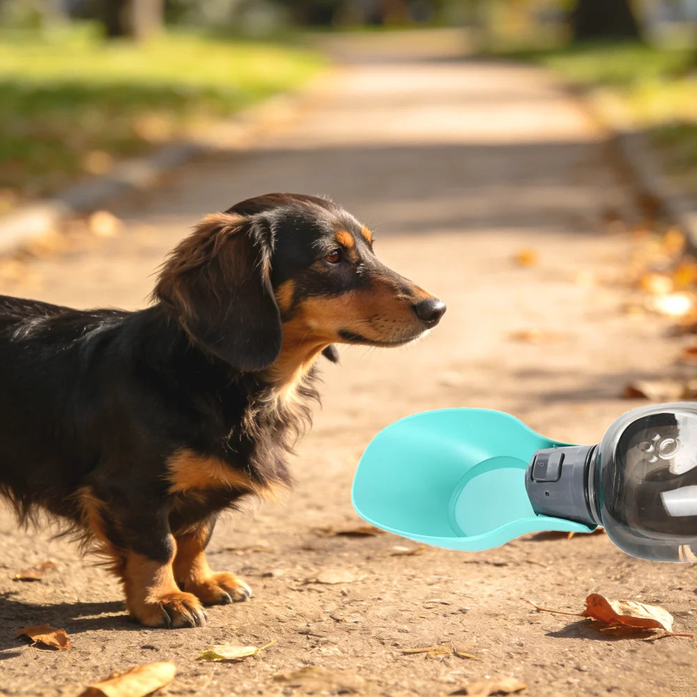 800ML Portable Dog Water Bottle For Small Medium Large Dogs Cats Foldable Puppy Outdoor Hiking Drinking Bowls Labardor Supplies