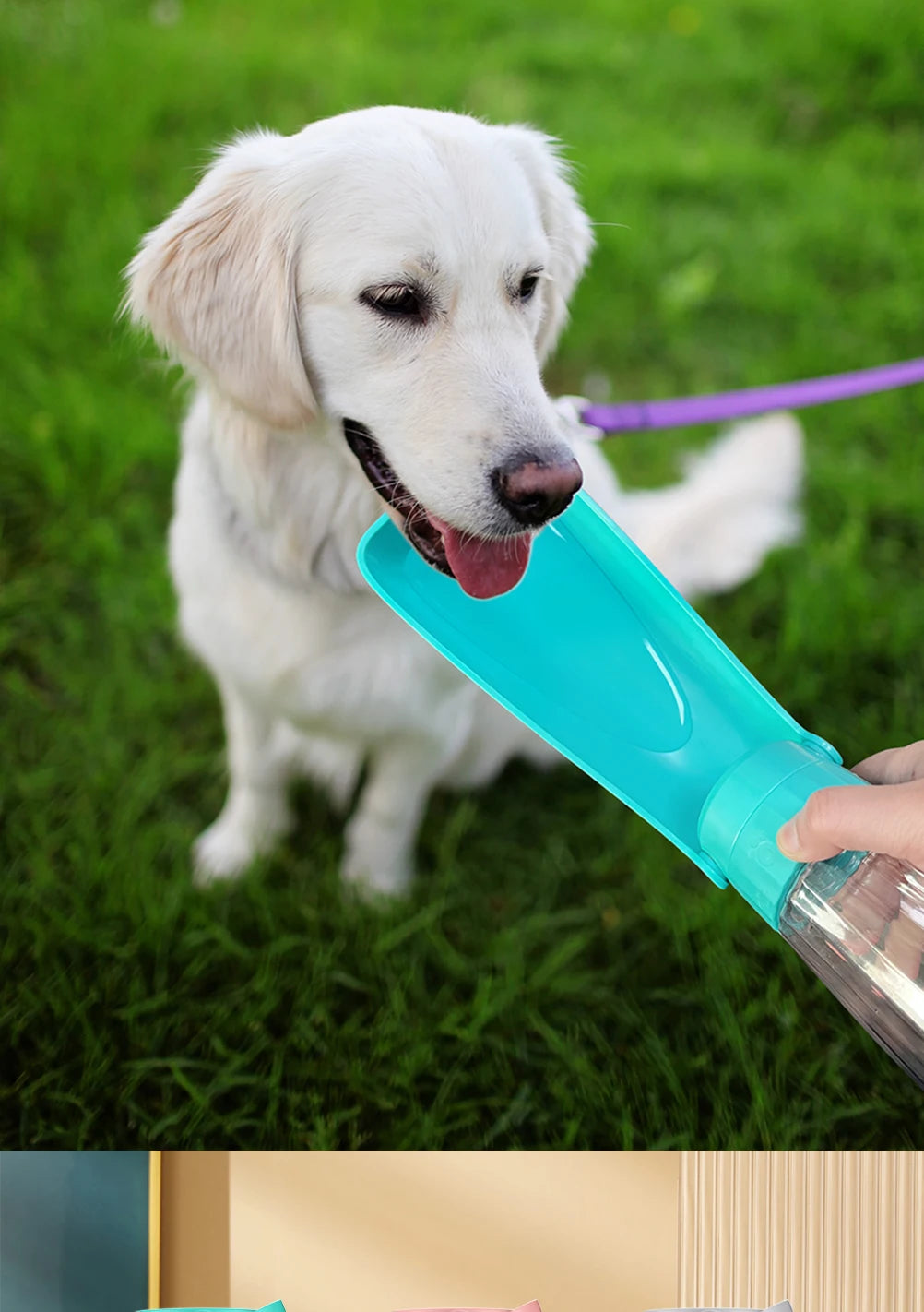 Portable Dog Water Bottle Dispenser for Small Large Dogs Foldable Puppy Outdoor Hiking Drinking Bowl French  Pet Accessories